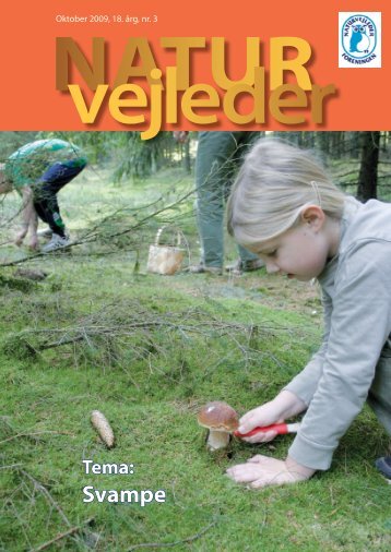 Svampe - Naturvejlederforeningen i Danmark