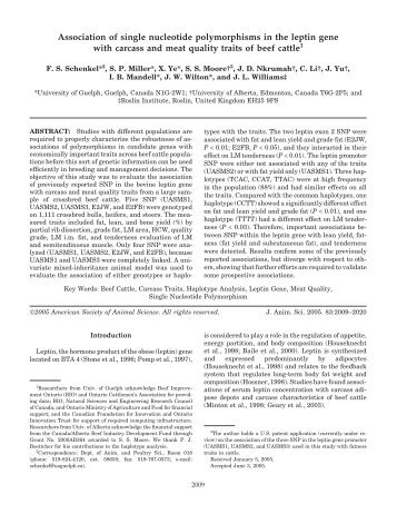 Association of single nucleotide polymorphisms in the leptin gene ...