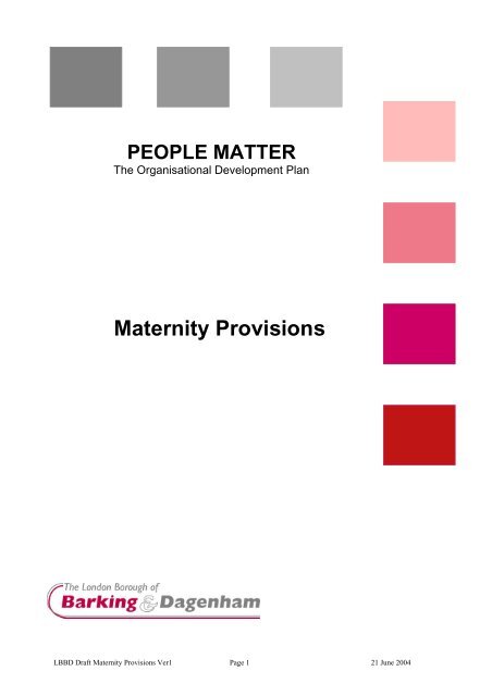 Maternity Provisions PDF 83 KB
