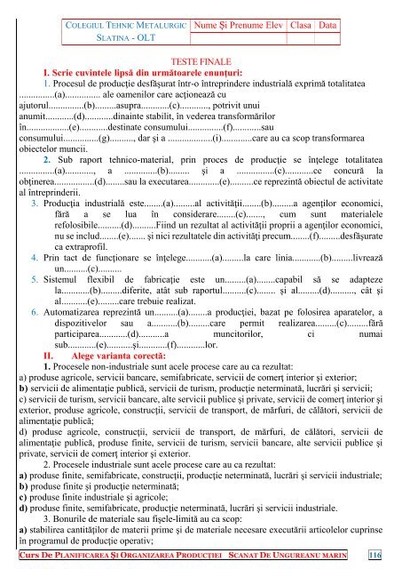 curs planificarea si organizarea productiei m1 - Portal Colegiul ...