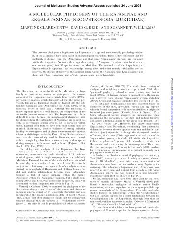 a molecular phylogeny of the rapaninae and ergalataxinae