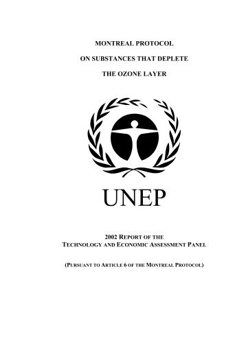 2002 Report of the Technology and Economic Assessment Panel