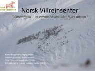 Last ned (pdf - 4 MB) - Villrein.no