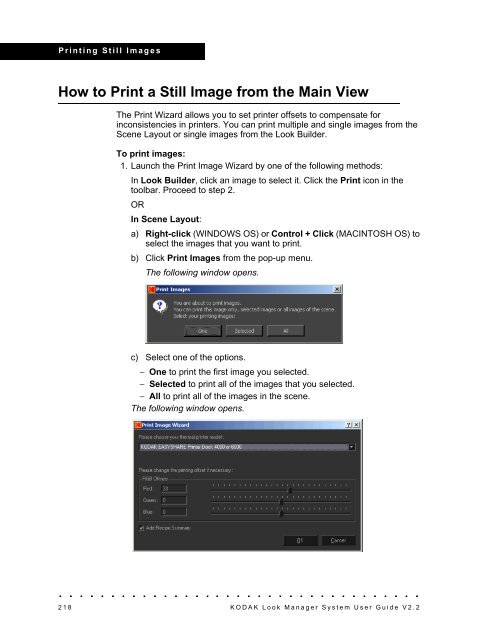 Flowgraph View - Kodak