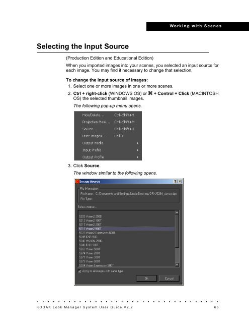 Flowgraph View - Kodak