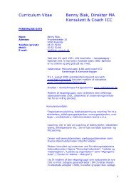 Curriculum Vitae (pdf) - Blak-Consult.dk