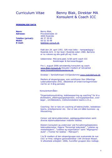 Curriculum Vitae (pdf) - Blak-Consult.dk