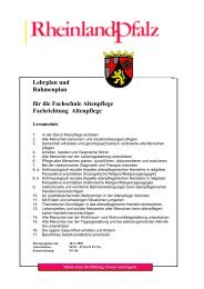 9_Lehrplan_u._Rahmenplan_f.d.Fachsch._Alt... - msagd - in ...