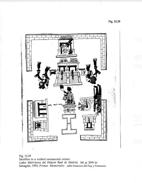 Altered Body Symbolism in Mesoamerica Charlotte AIiryn Werner ...