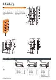 Details (PDF) - Lumberg Automation