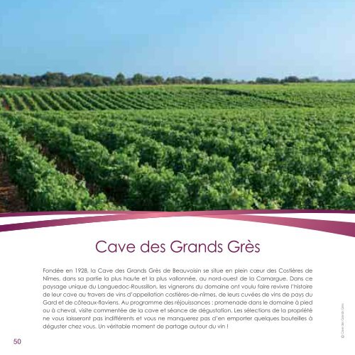 Tout sur le vin - Fnac