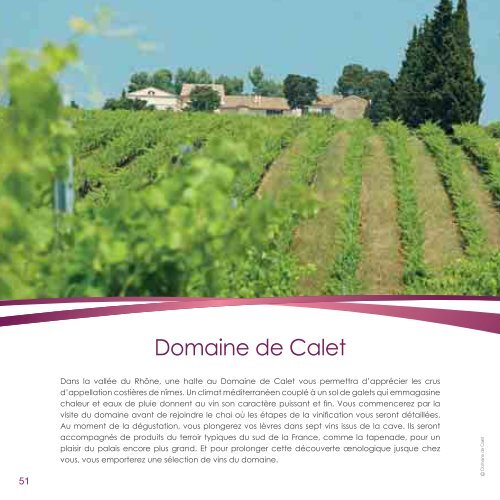 Tout sur le vin - Fnac