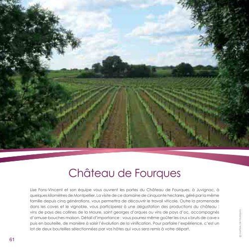 Tout sur le vin - Fnac