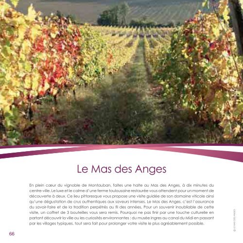 Tout sur le vin - Fnac