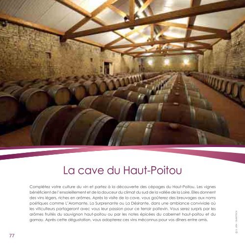 Tout sur le vin - Fnac