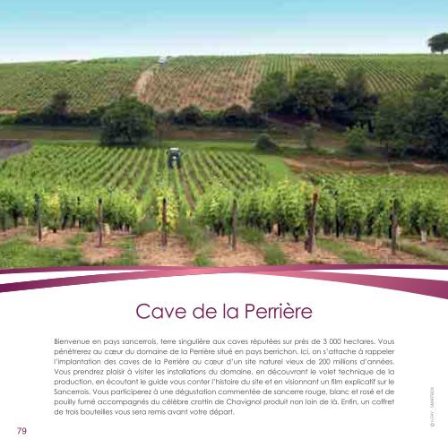 Tout sur le vin - Fnac