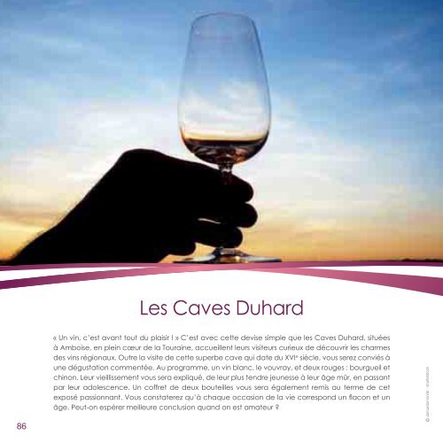 Tout sur le vin - Fnac