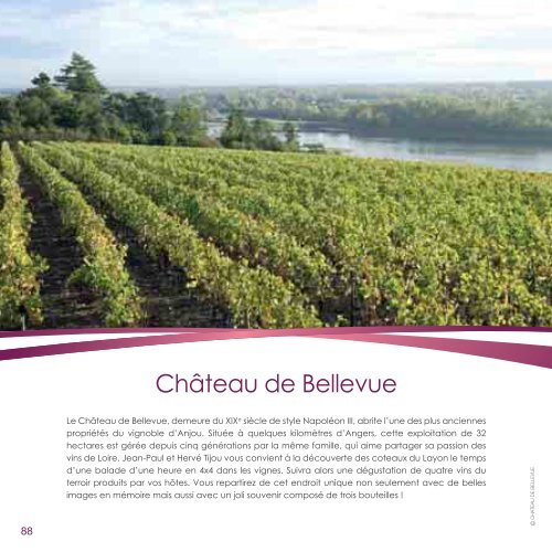 Tout sur le vin - Fnac