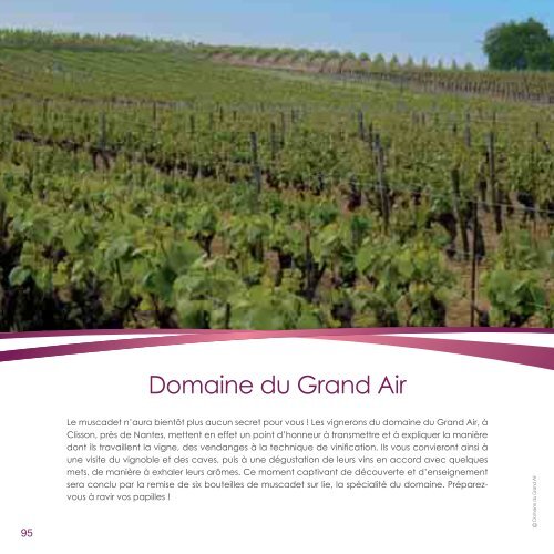 Tout sur le vin - Fnac