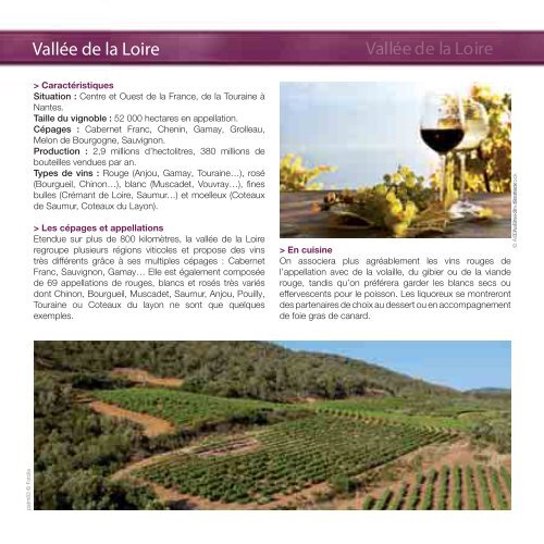 Tout sur le vin - Fnac