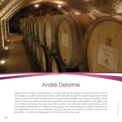 Tout sur le vin - Fnac