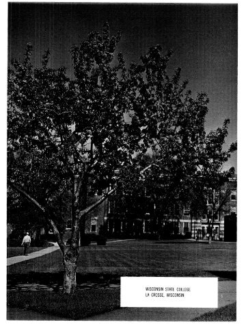 1964 - Digitized Resources Murphy Library University of Wisconsin ...