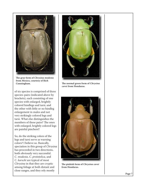 SCARABS - University of Nebraska State Museum