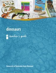 Teacher's Guide (PDF) - University of Nebraska State Museum - The ...