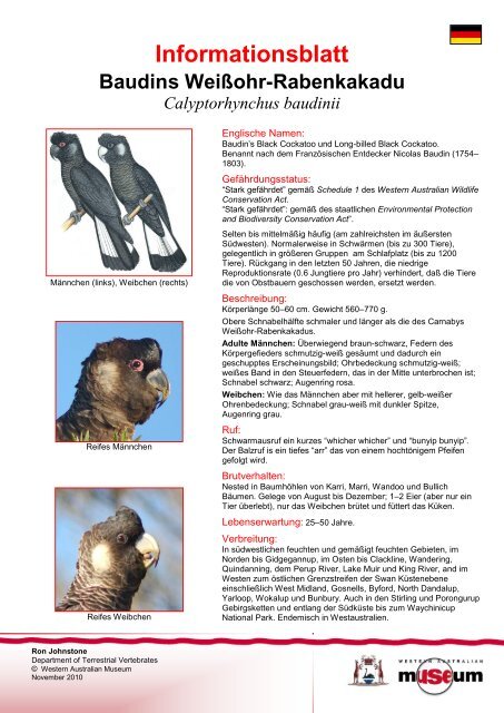 Information Sheet - Baudin's Cockatoo - Western Australian Museum