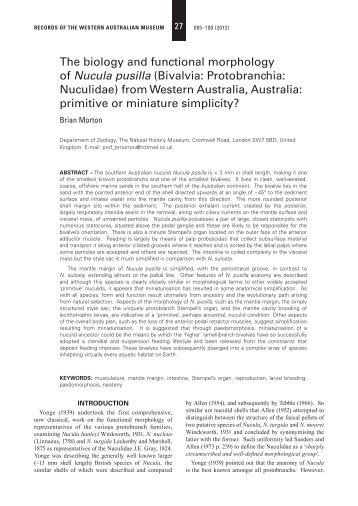 Bivalvia: Protobranchia: Nuculidae - Western Australian Museum
