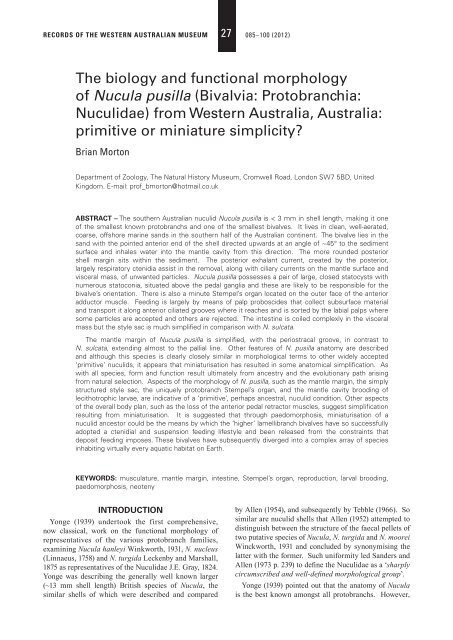 Bivalvia: Protobranchia: Nuculidae - Western Australian Museum