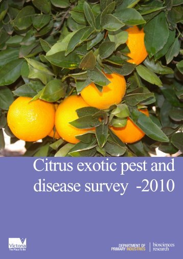 Citrus exotic pest and disease survey 2010 Final - Murray Valley ...