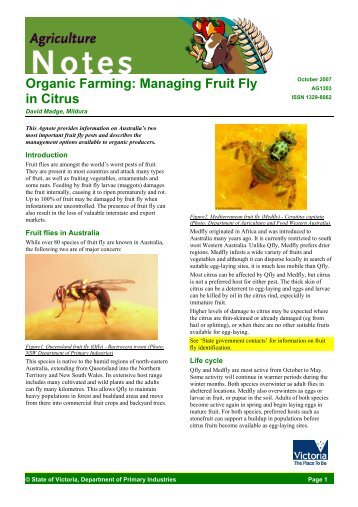 Organic Farming: Managing Fruit Fly in Citrus