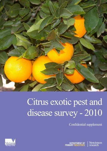 Citrus exotic pest and disease survey 2010 Final - Murray Valley ...