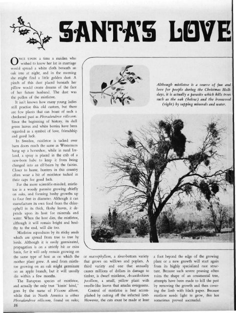 DECEMBER, 1971 50c - Desert Magazine of the Southwest