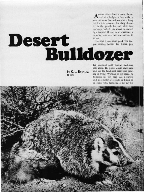 DECEMBER, 1971 50c - Desert Magazine of the Southwest