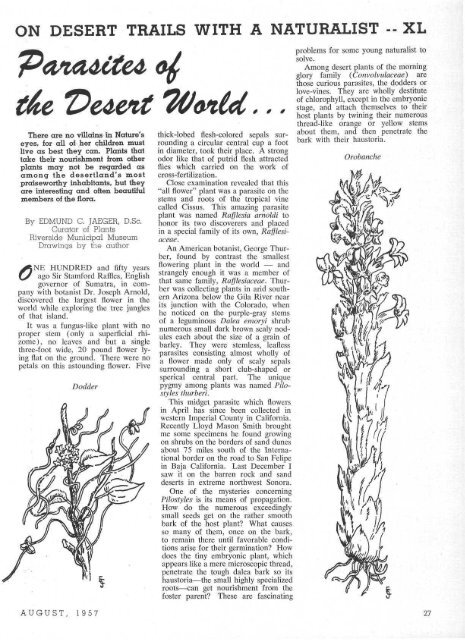 1 - Desert Magazine of the Southwest