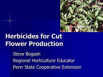 Presentation on herbicides for cut flowers