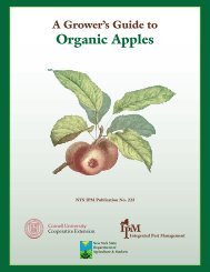 A Growers Guide to Organic Apple Production