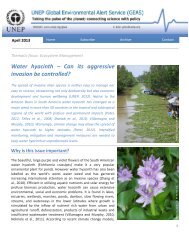 Water hyacinth - UNEP/GRID-Sioux Falls