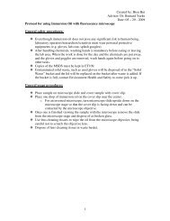 29 - 2009 1 Protocol for using Immersion Oil with fluorescence micr