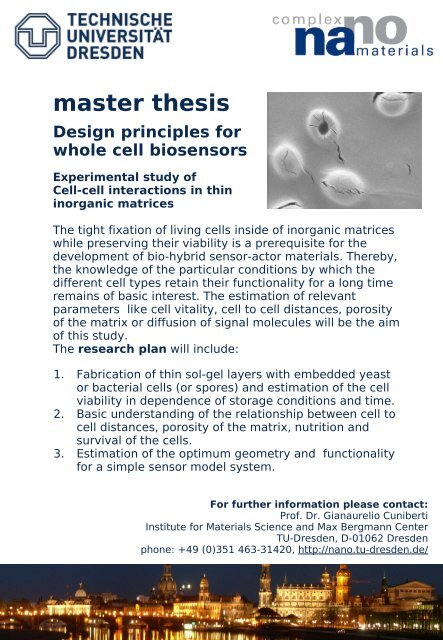Masters thesis in materials engineering