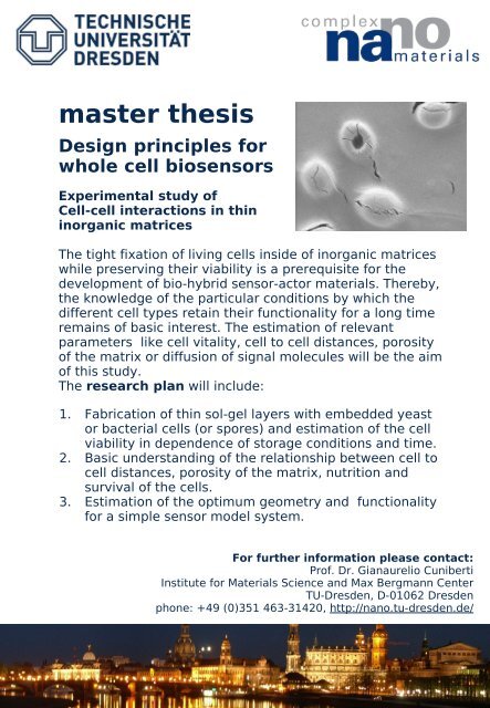 master thesis - Chair of Materials Science and Nanotechnology