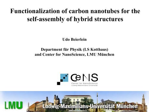 Functionalization of carbon nanotubes for the self-assembly of ...