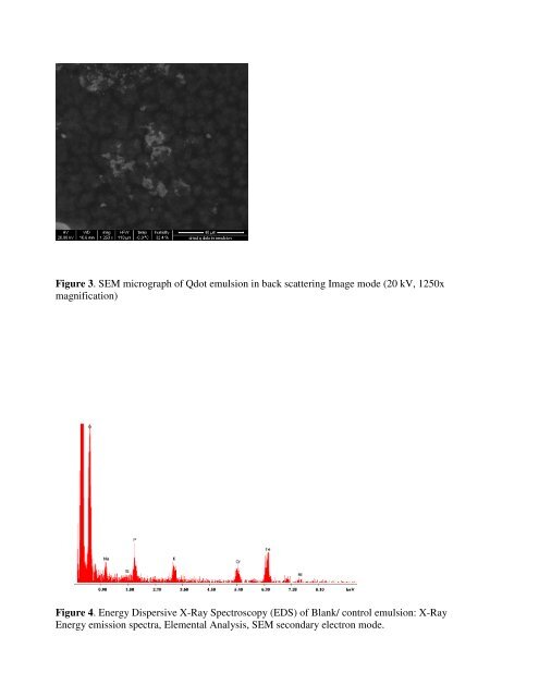 Wet SEM Analysis of Quantum dot emulsions - Rice University