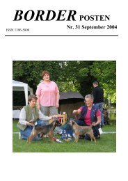 Nr. 31 September 2004 - Border terriers i DTK