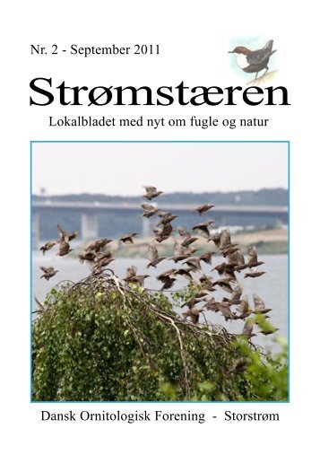 nummer 2 - DOF Storstrøm