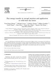 Dye energy transfer in xerogel matrices and application to solid ...