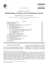 Photobleaching of sensitisers used in photodynamic therapy