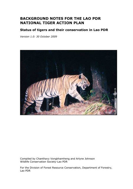 DNA samples of Bengal tigers polluted by genes of the Siberian Tiger